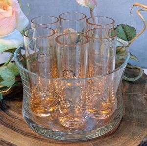 Murano Glass Cordial Shot Glasses Set with Ice Bucket